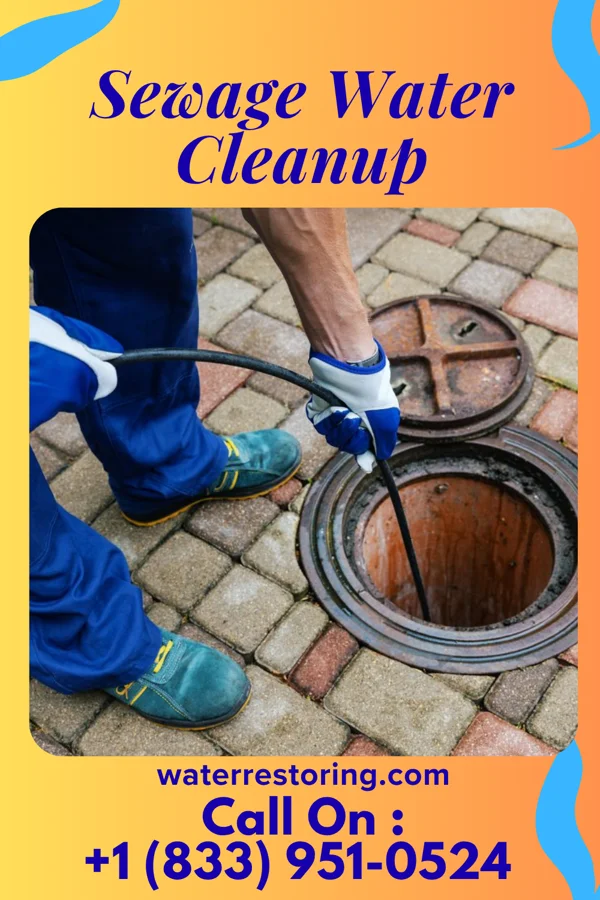 Sewage Water Cleanup in Kidder, MO
